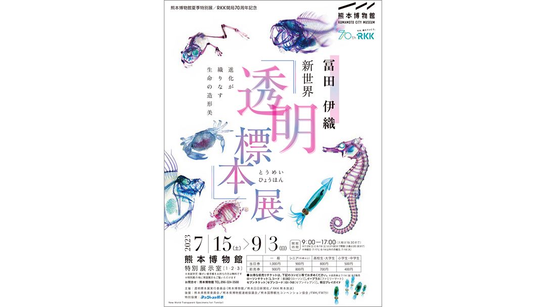 冨田伊織(とみたいおり)さんが「冨田伊織　新世界『透明標本』展 ～進化が織りなす生命の造形美～」を開催